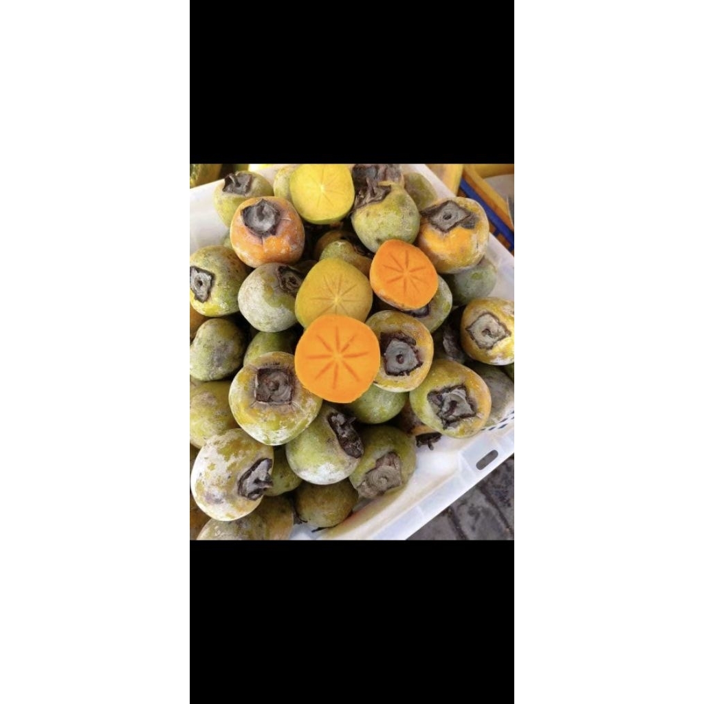 buah kesemek