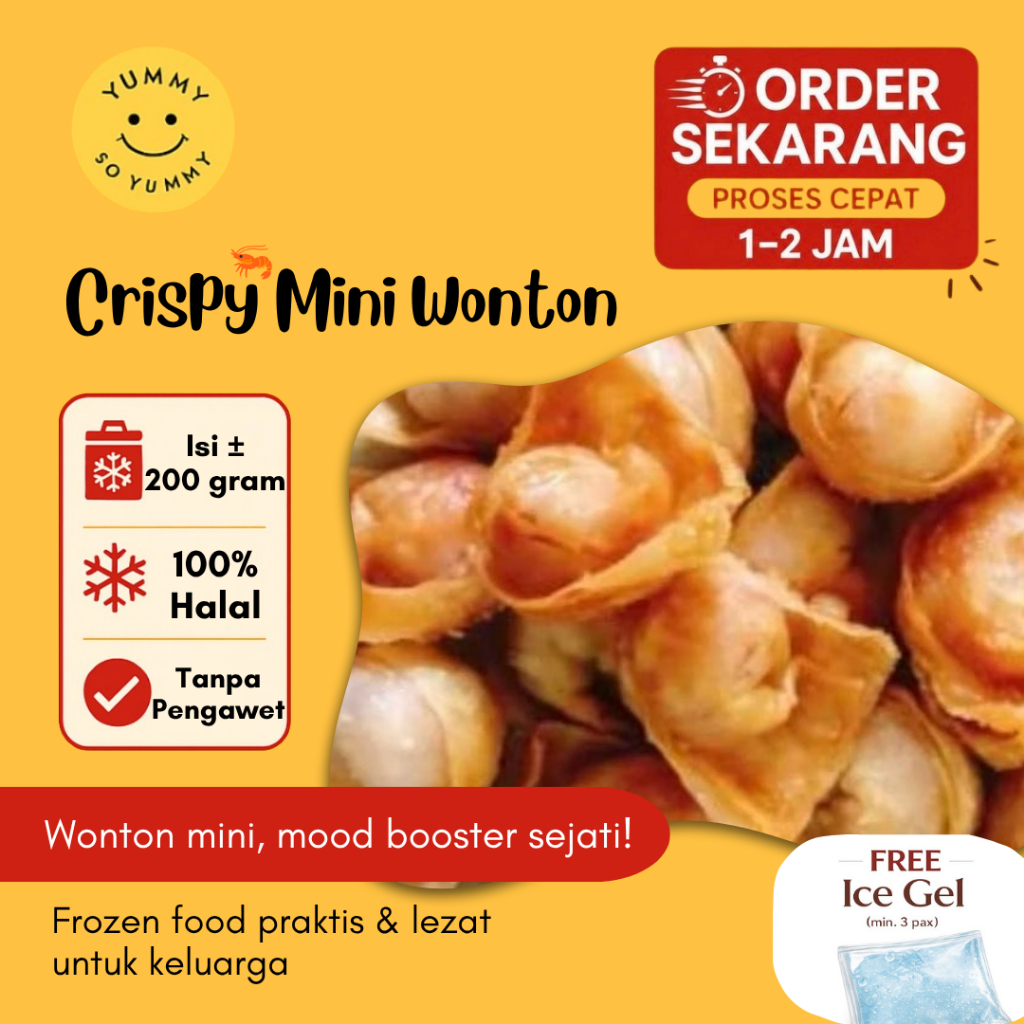 Premium Crispy Mini Wonton Frozen