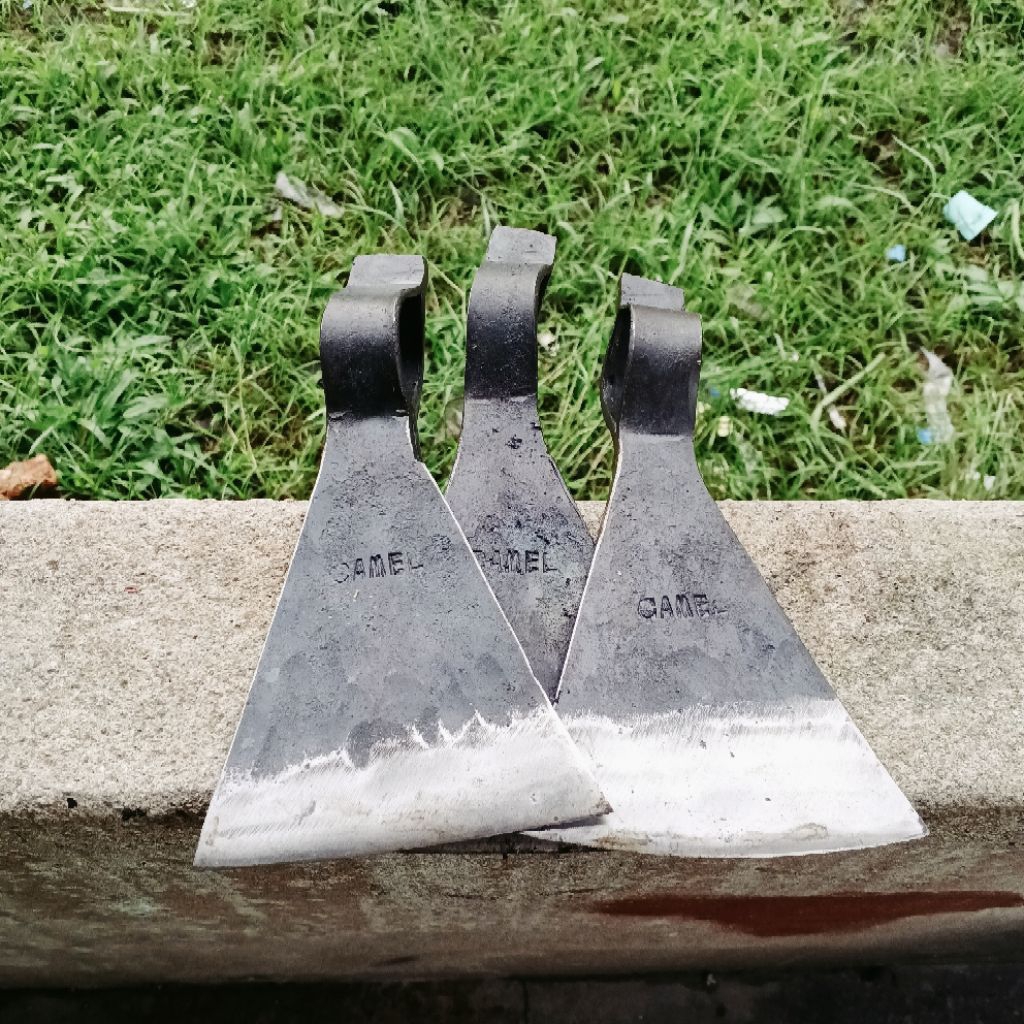 KAPAK SAWIT / KAMPAK SAWIT