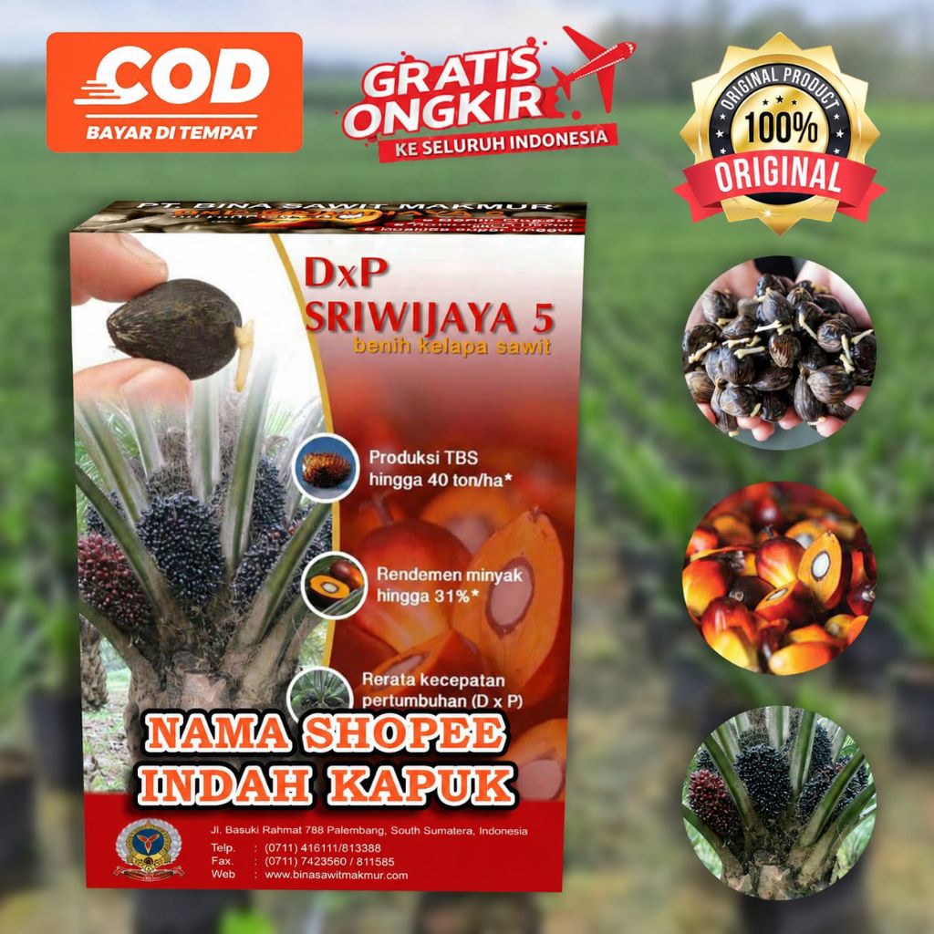 SRIWIJAYA DXP SJ5 SUPER UNGGULAN BERSERTIFIKAT