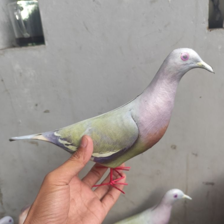 patung jontrot burung punai mirip sekali / boneka manuk walik daun/ dekoy burung hiasan taman