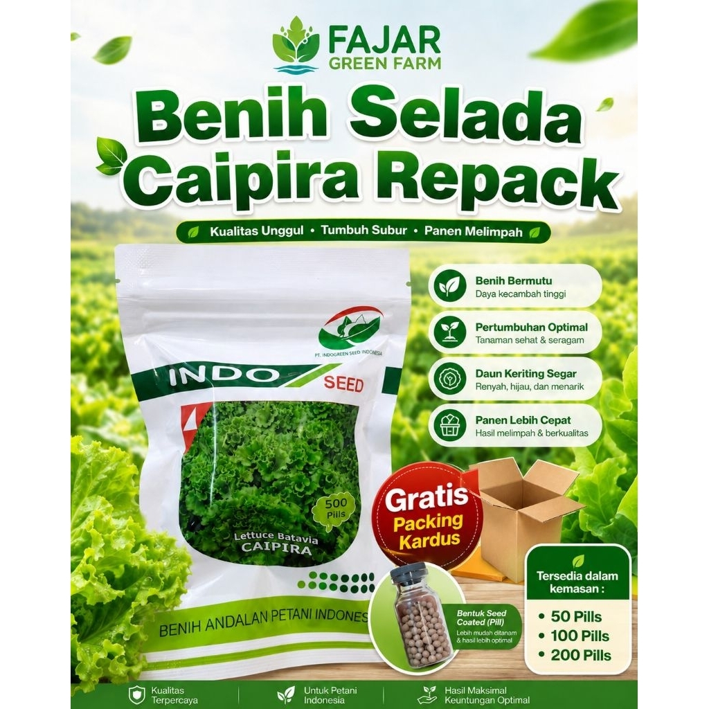 Benih Selada CAIPIRA Repack INDO SEED -200 Pills