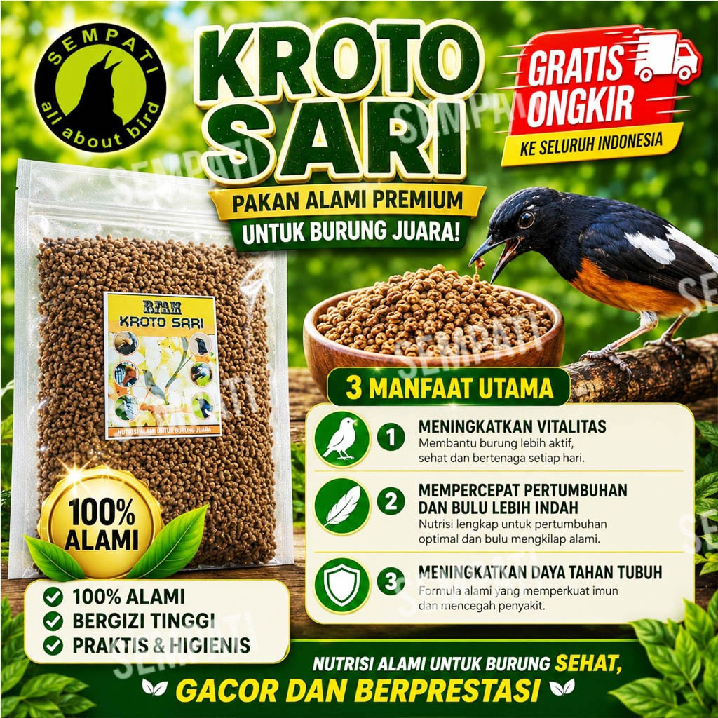 SEMPATI Rfam Kroto Sari Kasar 50 Gr Pakan Burung Murai Batu Kacer Anis Pleci Super Untuk Lomba Dan H