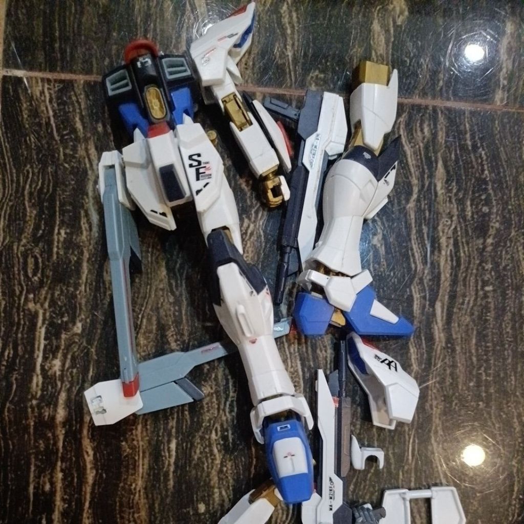 JUNK GUNDAM STRIKE FREEDOM