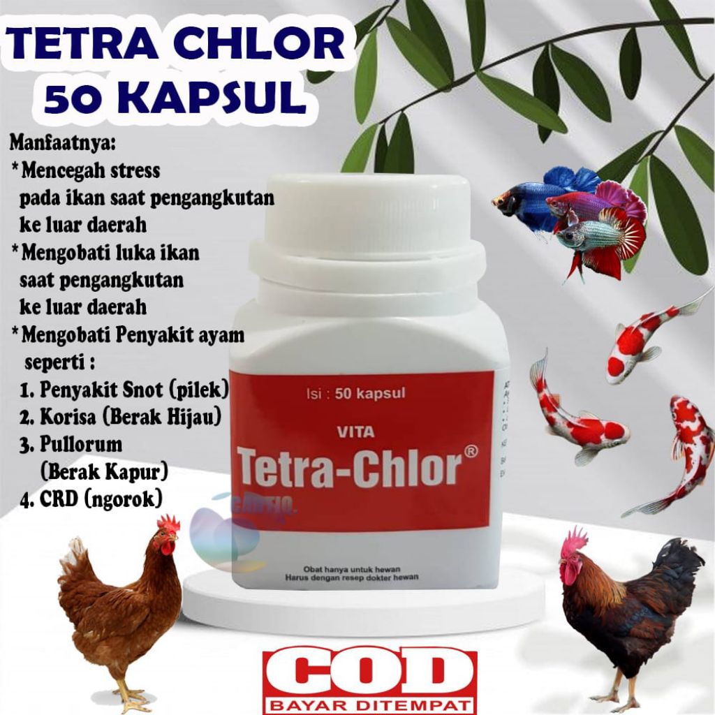 tetra chlor.
