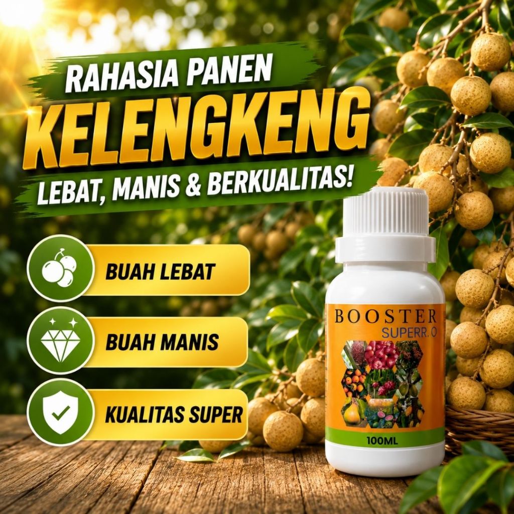 Pupuk Buah Kelengkeng Cepat Berbuah / Pupuk Kelengkeng Lebat Buah / Pupuk Perangsang Buah Kelengkeng