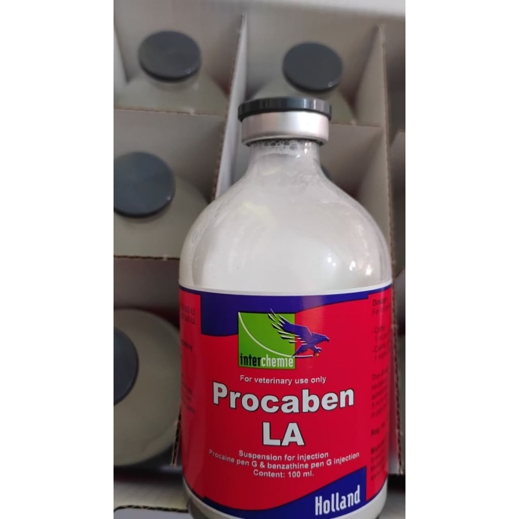 Procaben La penisilin obat hewan 2028