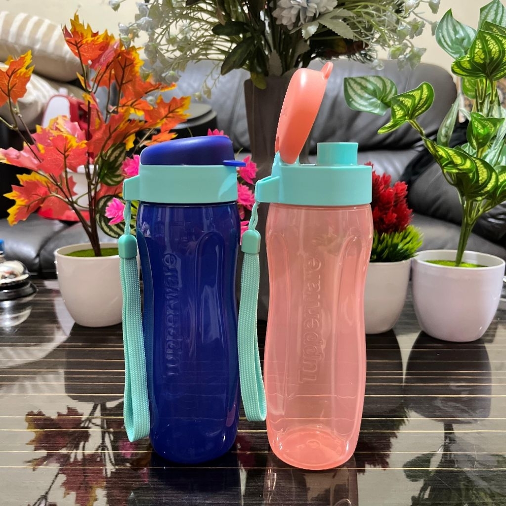 Eco Botol Flip 500 ml dan eco fashion 500 ml