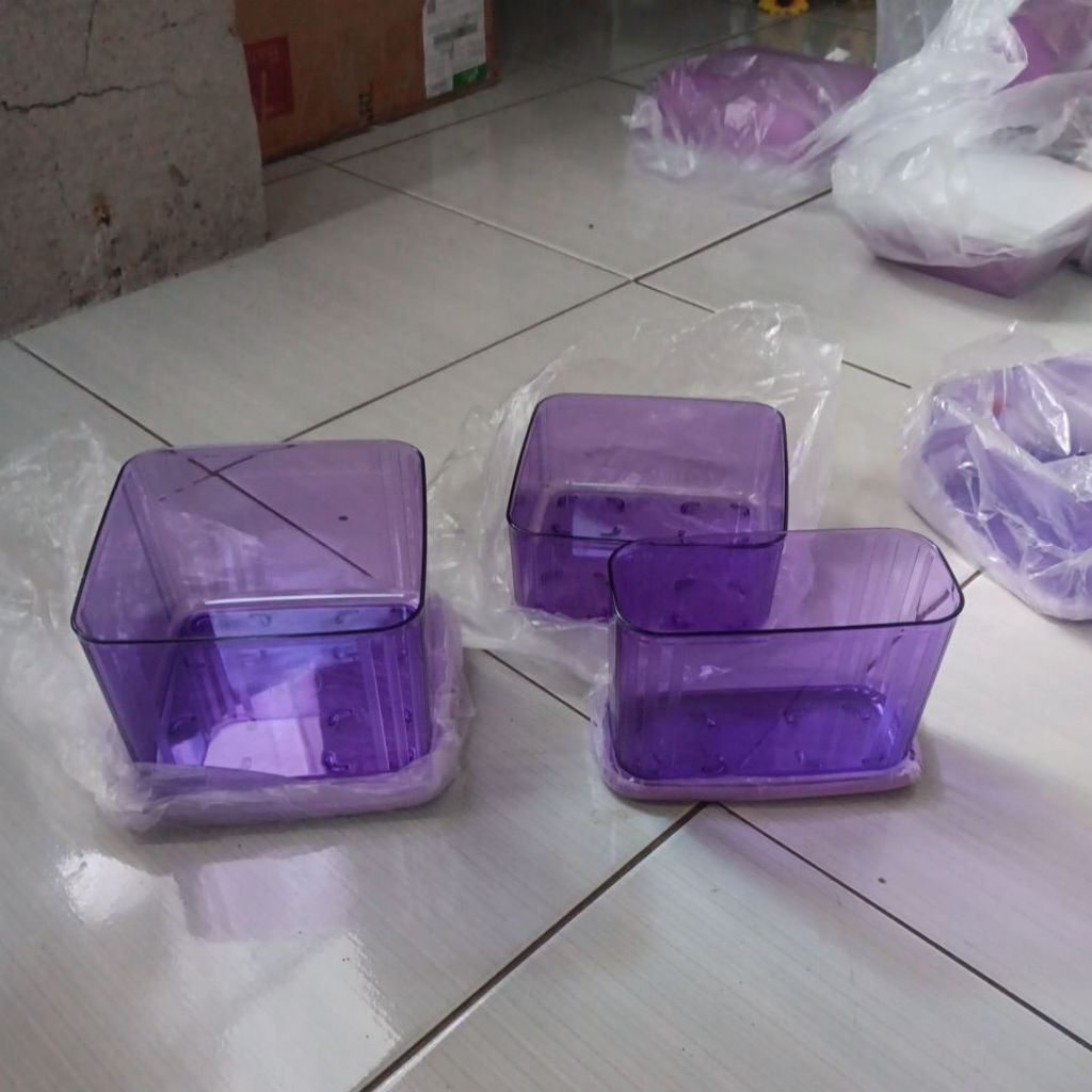 clear mate tupperware