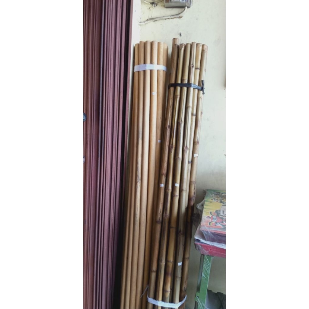 tongkat pramuka / tongkat bambu pramuka