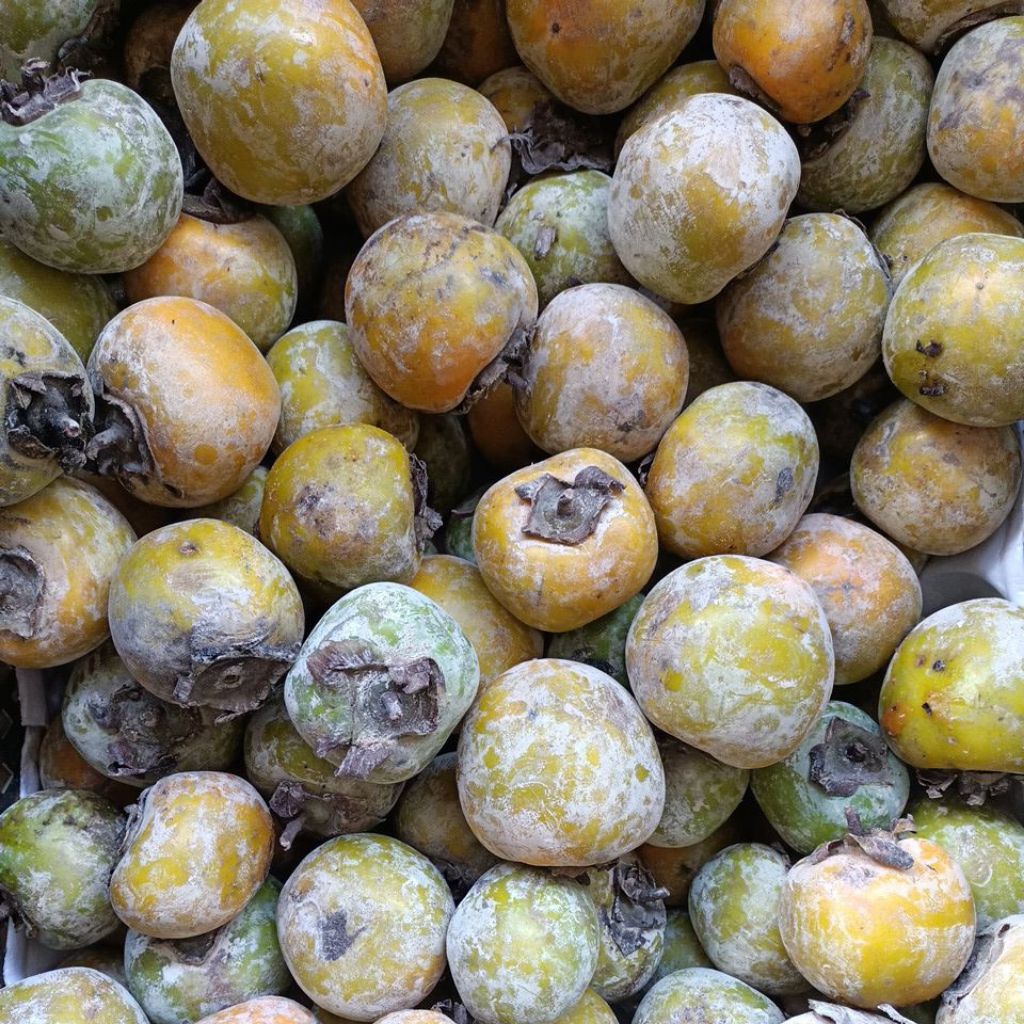 Kesemek Malang manis & renyah 1kg