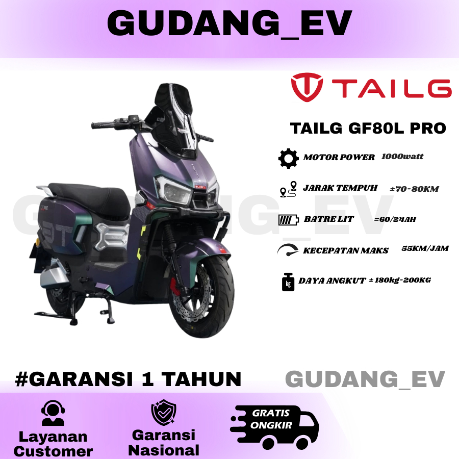 TAILG GF80L PRO SEPEDA LISTRIK 60V/24AH 80KM