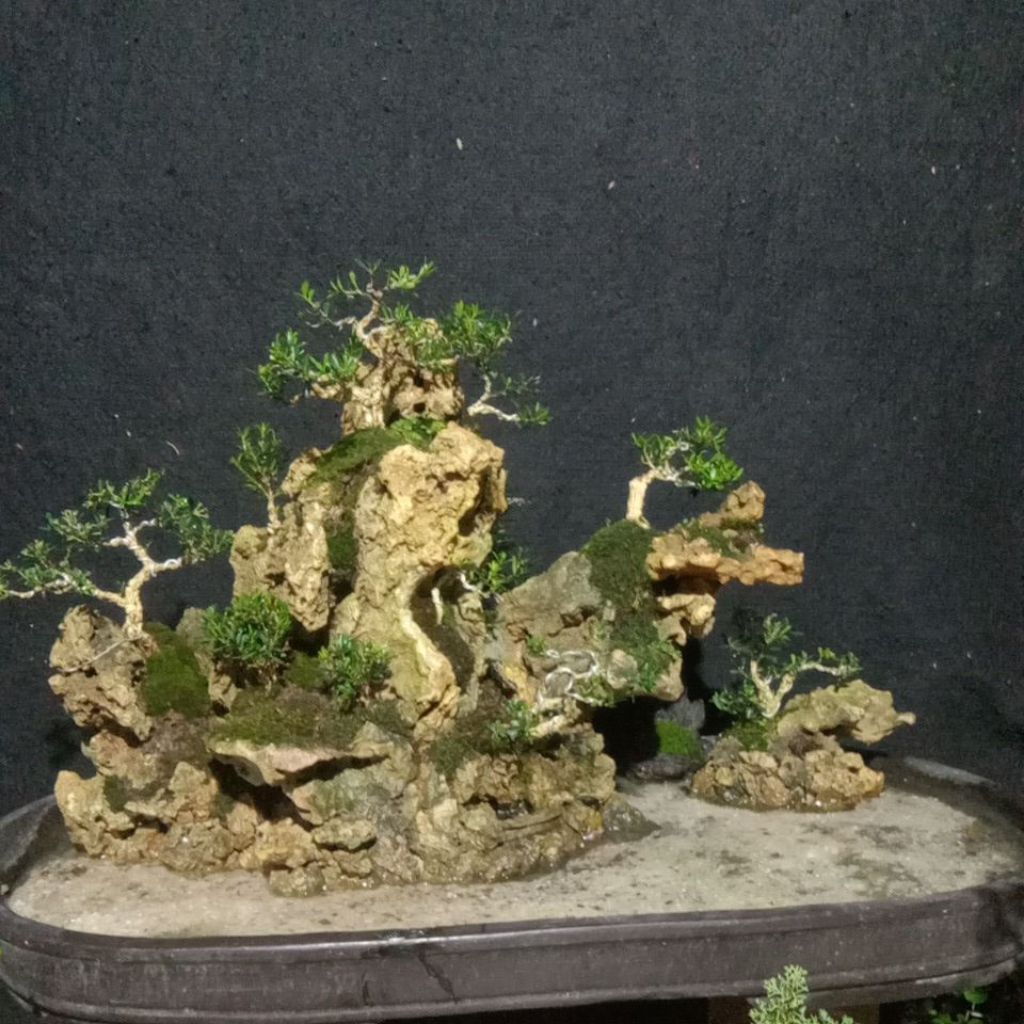 link co bonsai panorama air terjun 85cm