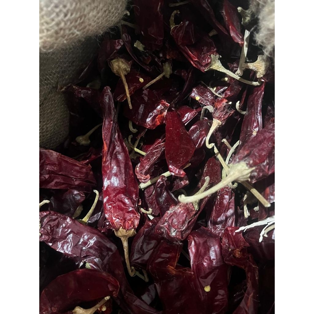 Cabe Kering Merah Besar WonderHot Tidak Pedas tangkai