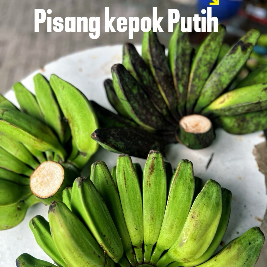 PISANG KEPOK PUTIH pakan burung
