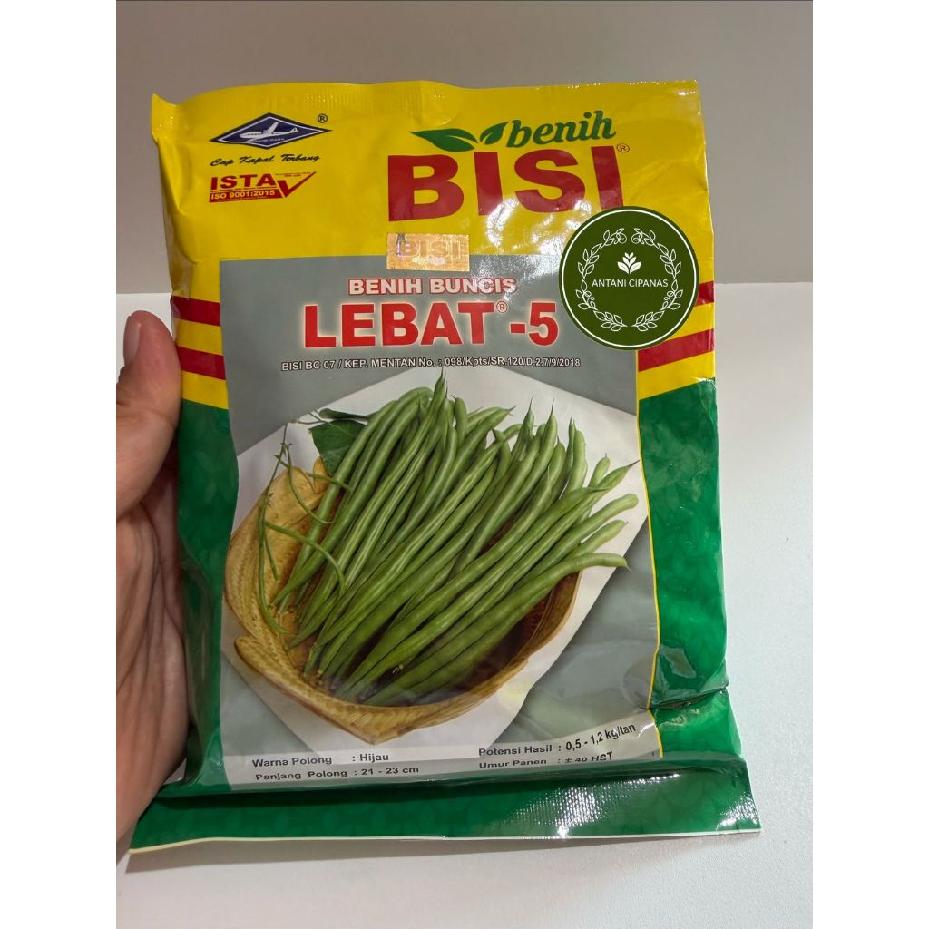 Benih Buncis Lebat 5 500GR Bibit Buncis Unggul Cepat Panen Hasil Melimpah Produktif Tinggi