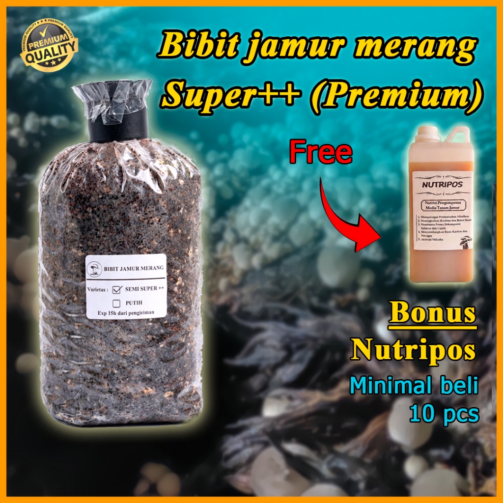 Bibit Jamur Merang Unggul (Varietas Putih & Semi) - Free Nutripos
