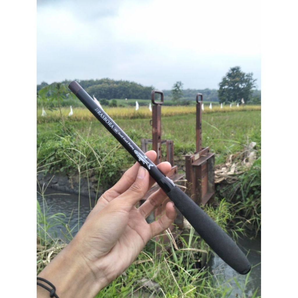 Tegek Rasbora Small Creek Fishing