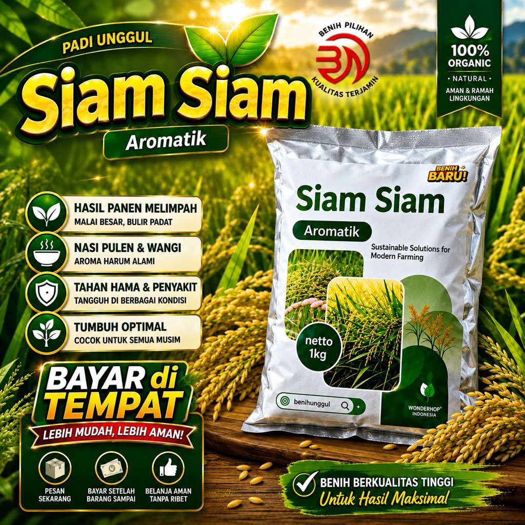 PADI UNGGUL SIAM-SIAM 1KG