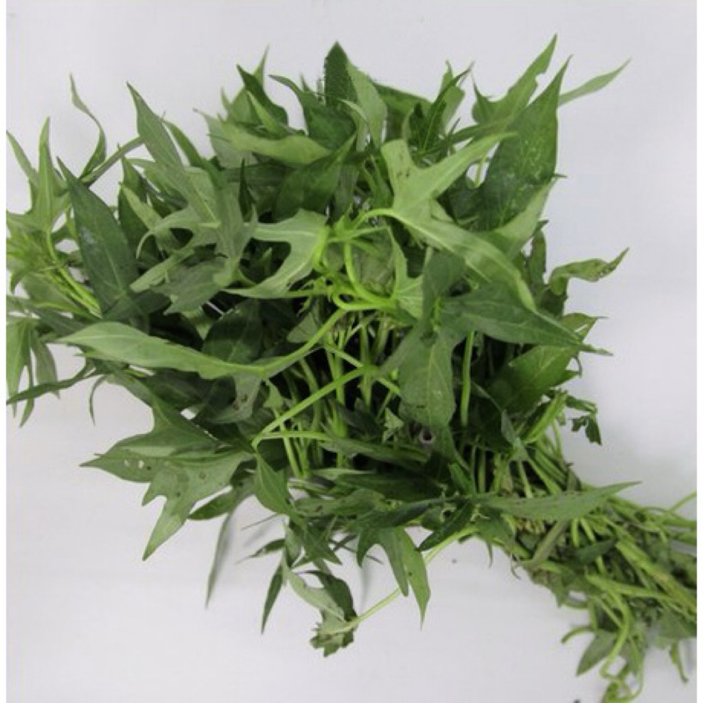 daun ketela rambat / daun ubi jalar segar 1 ikat