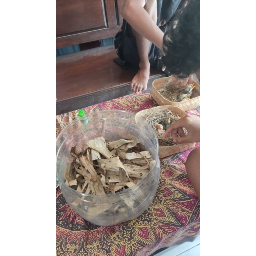 kayumanis