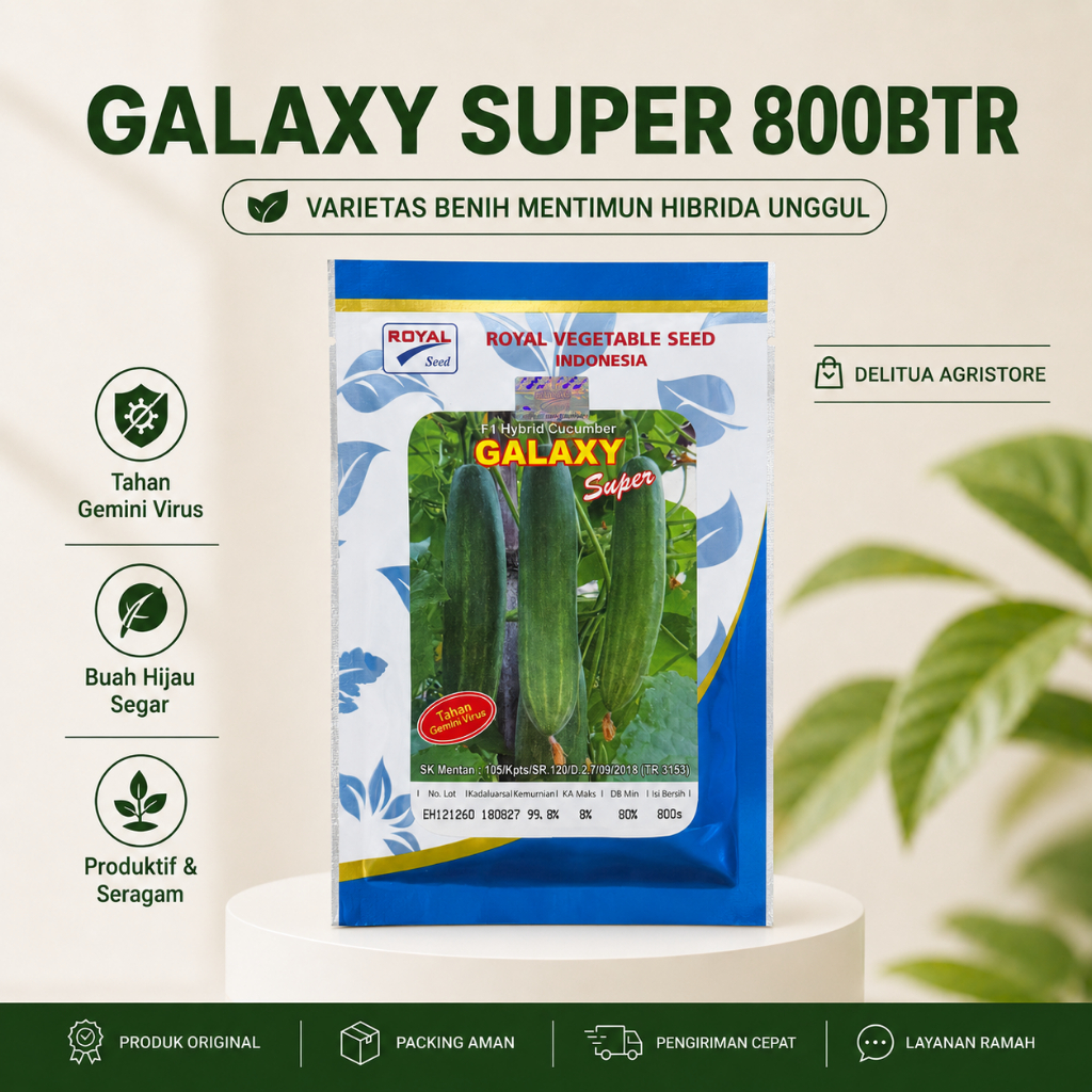 TIMUN GALAXY F1 800 BUTIR
