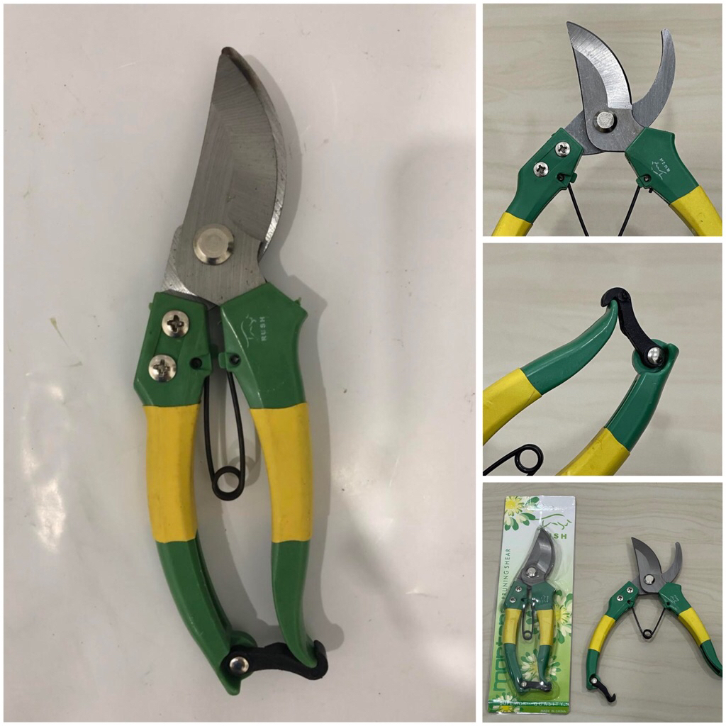 Gunting jeruk  RUSH gg HIJAU 8” inci gunting bunga dahan ranting 20cm scissors bun orange twig branc