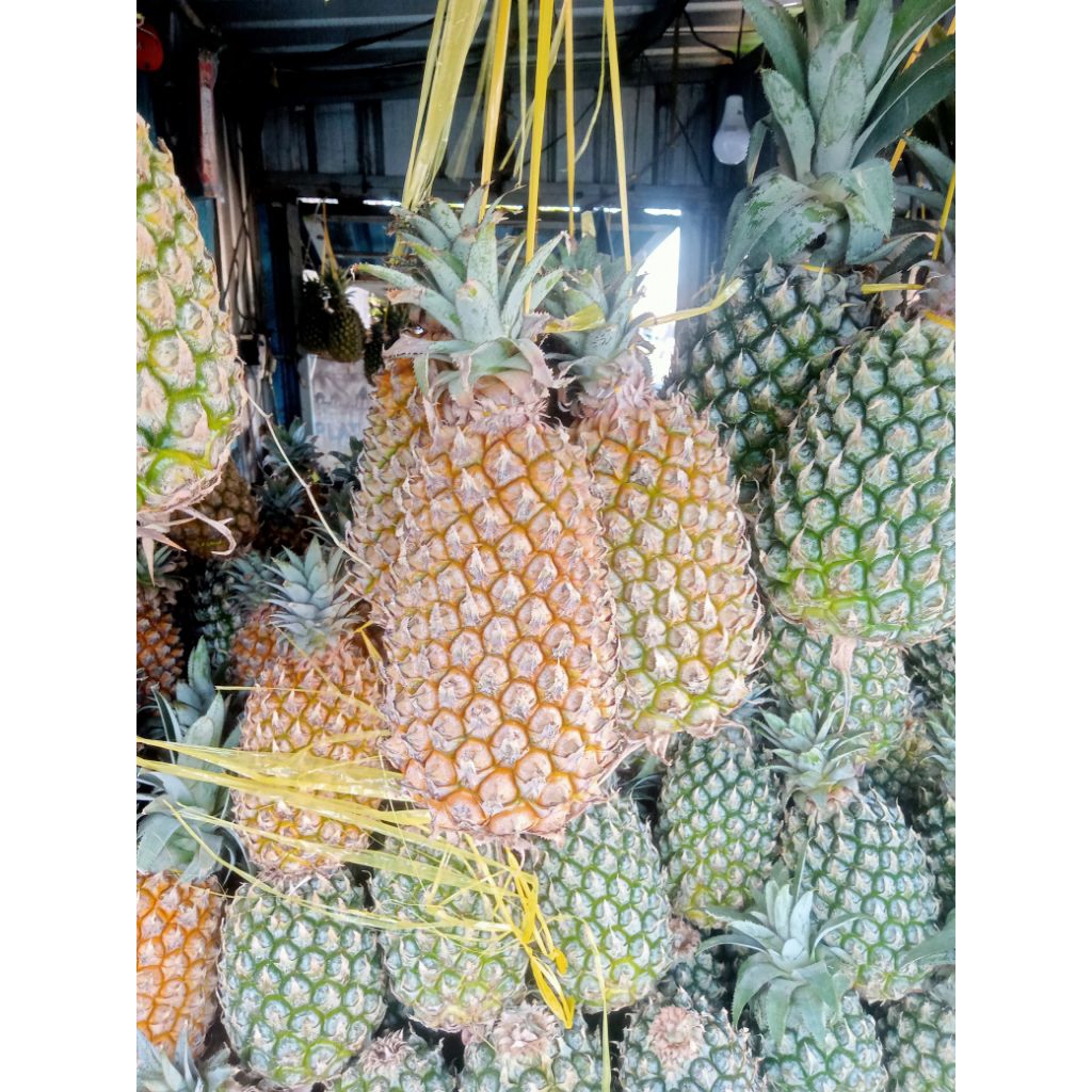 INSTAN Nanas madu banyuwangi
