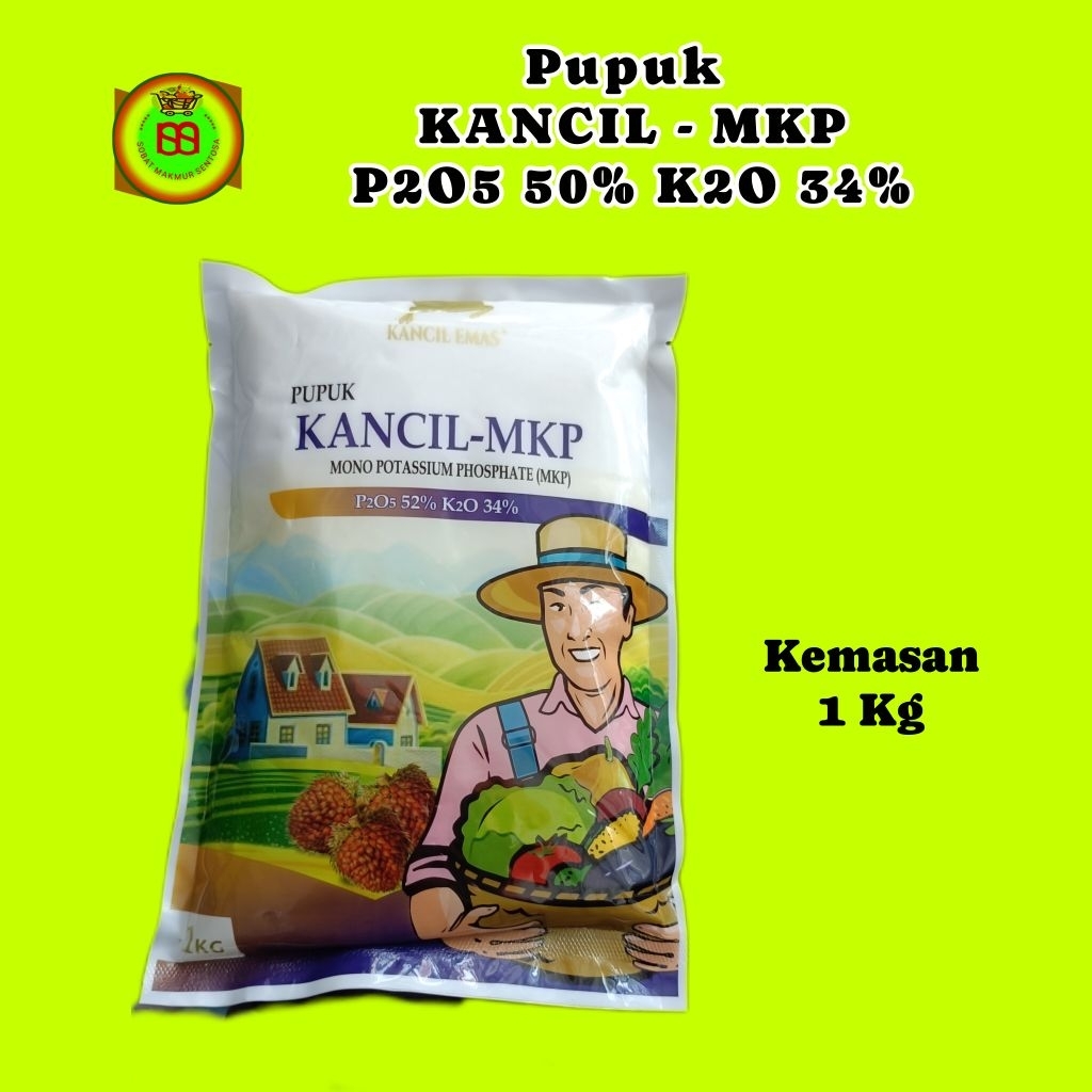 pupuk Kancil-MKP Fosfat (P2O5) 52% dan Kalium (K2O) 34%.