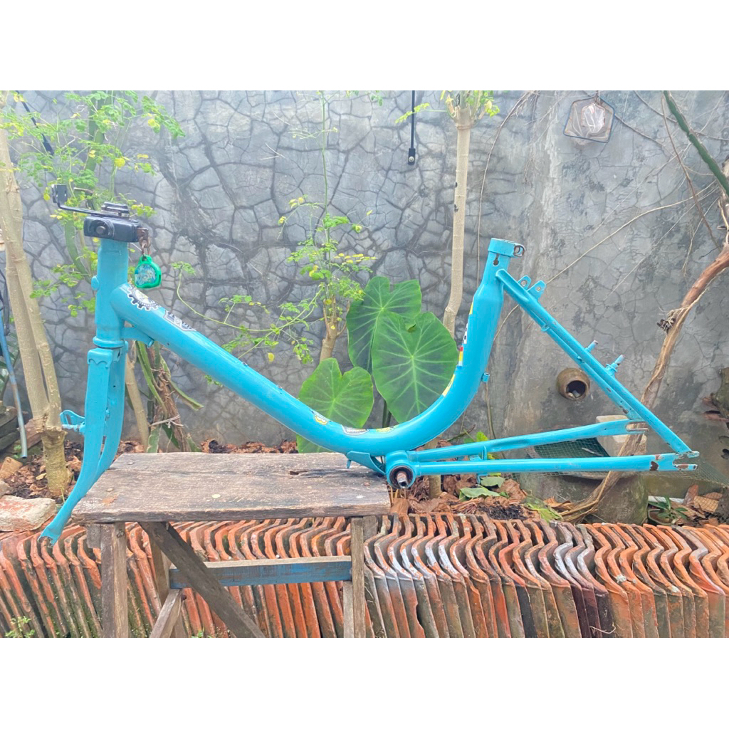 frame minion