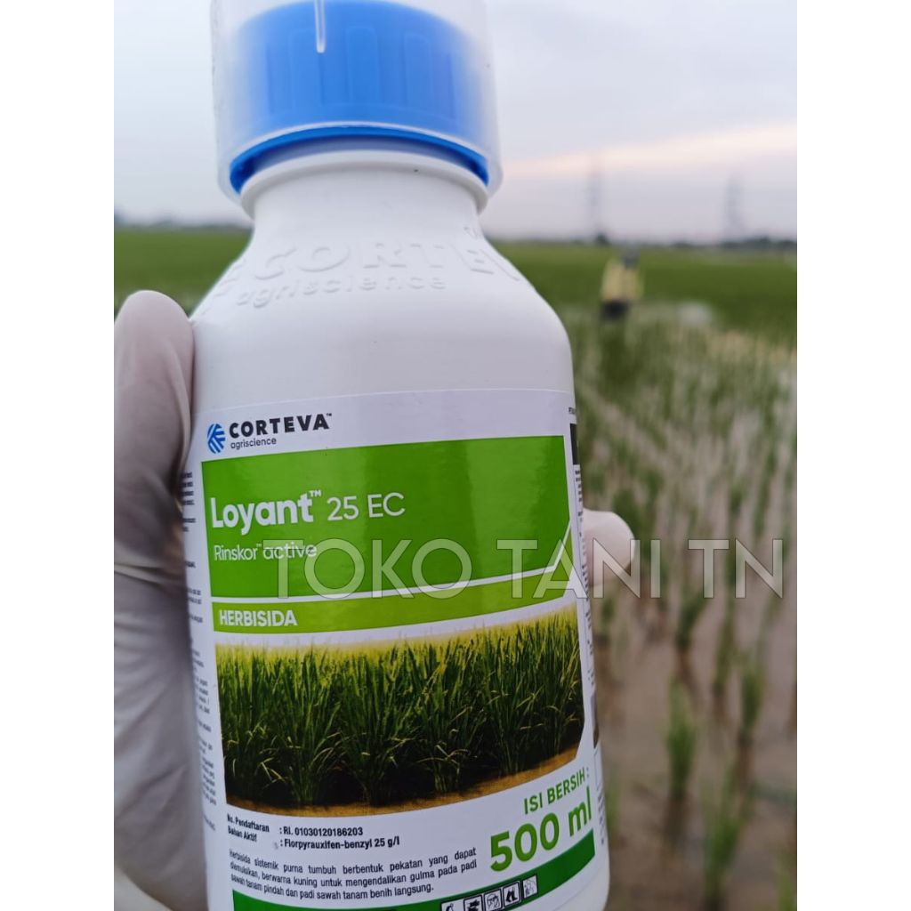 LOYANT 25 EC 500 ML