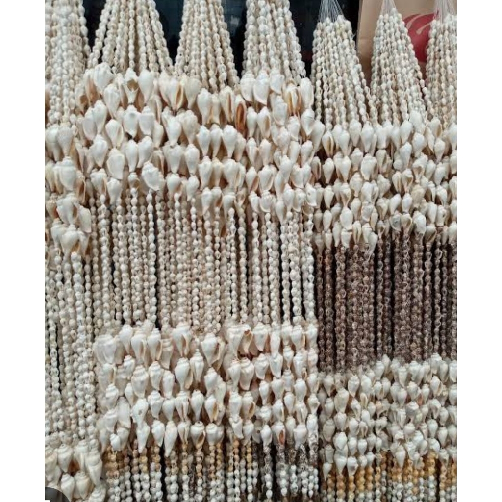 Tirai Kerang Putih*