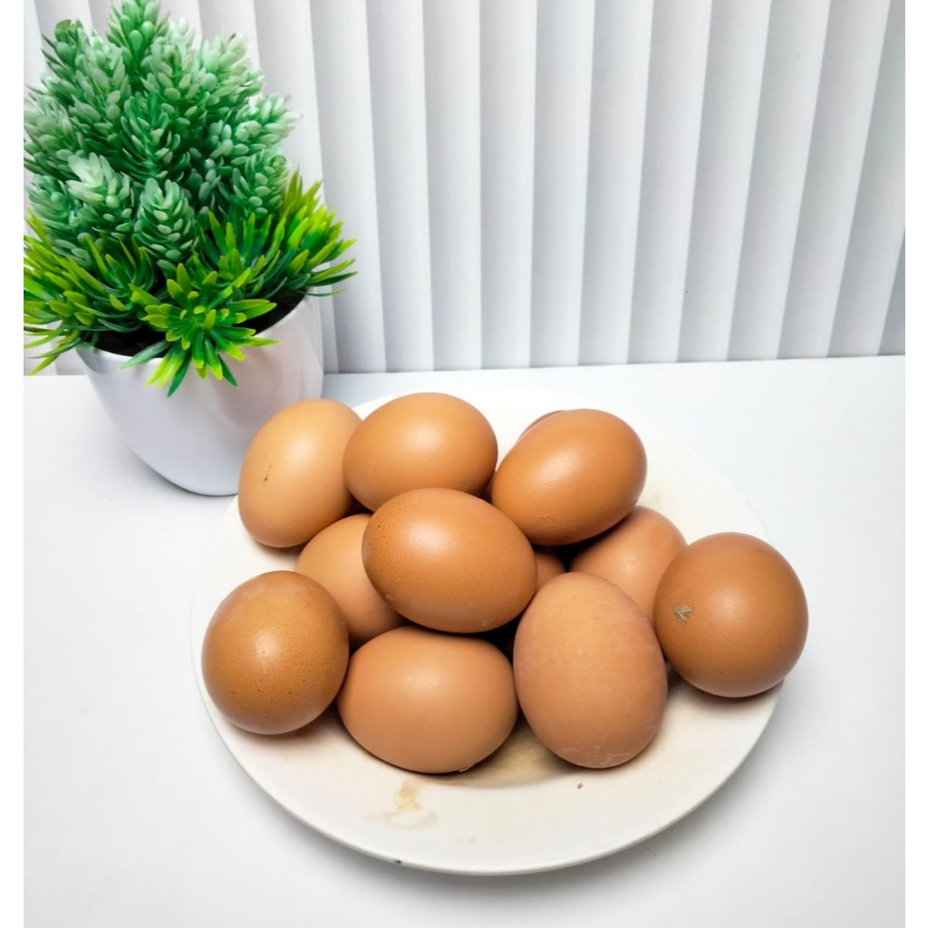 Telur ayam negeri / telur ayam