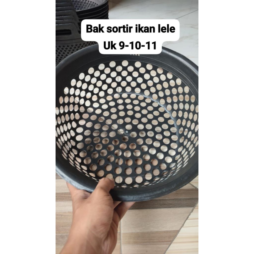 (COD) EMBER SORTIR LELE / BAK SORTIR LELE / BAK SORTIR IKAN / SERITAN LELE