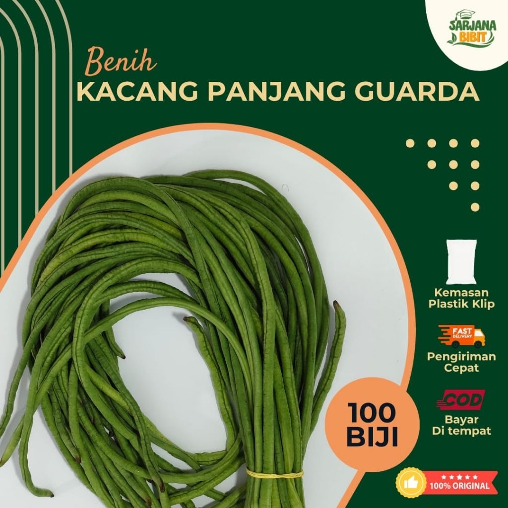 100± BIJI BENIH KACANG PANJANG GARDA BERKUALITAS
