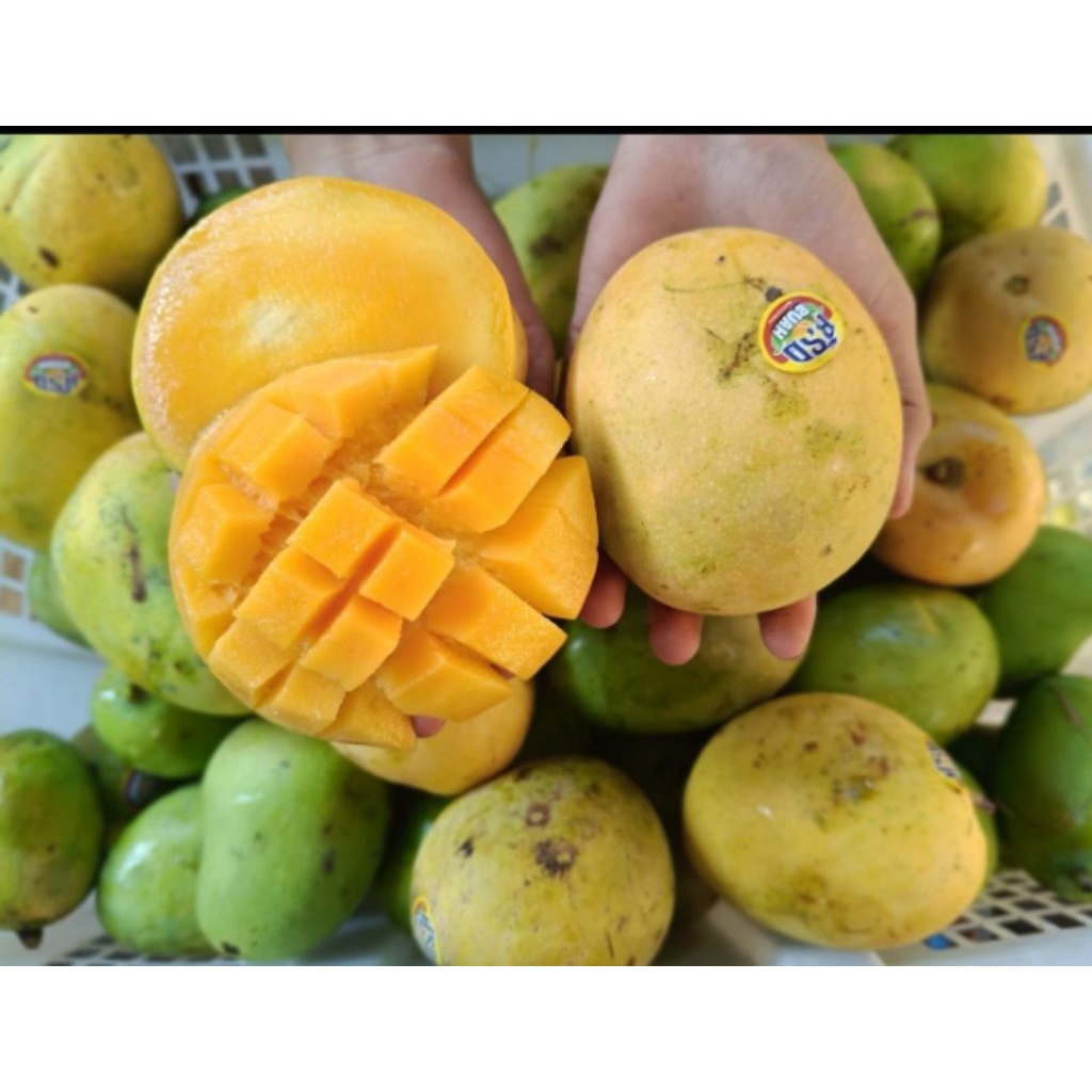 mangga madu renceng 1kg