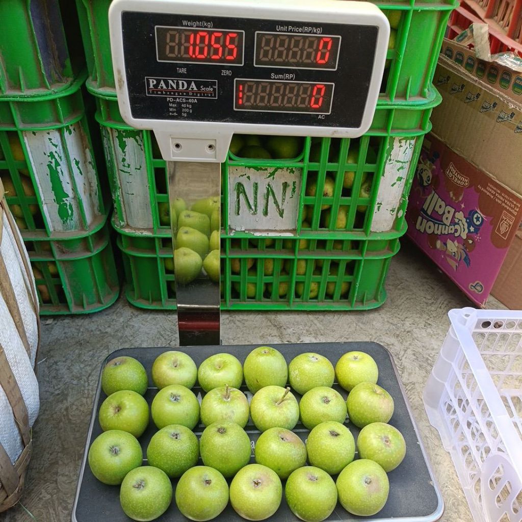 APEL MALANG JENIS GRANNY SMITH/HIJAU LOKAL KECIL 20-25 DALAM SEKILO