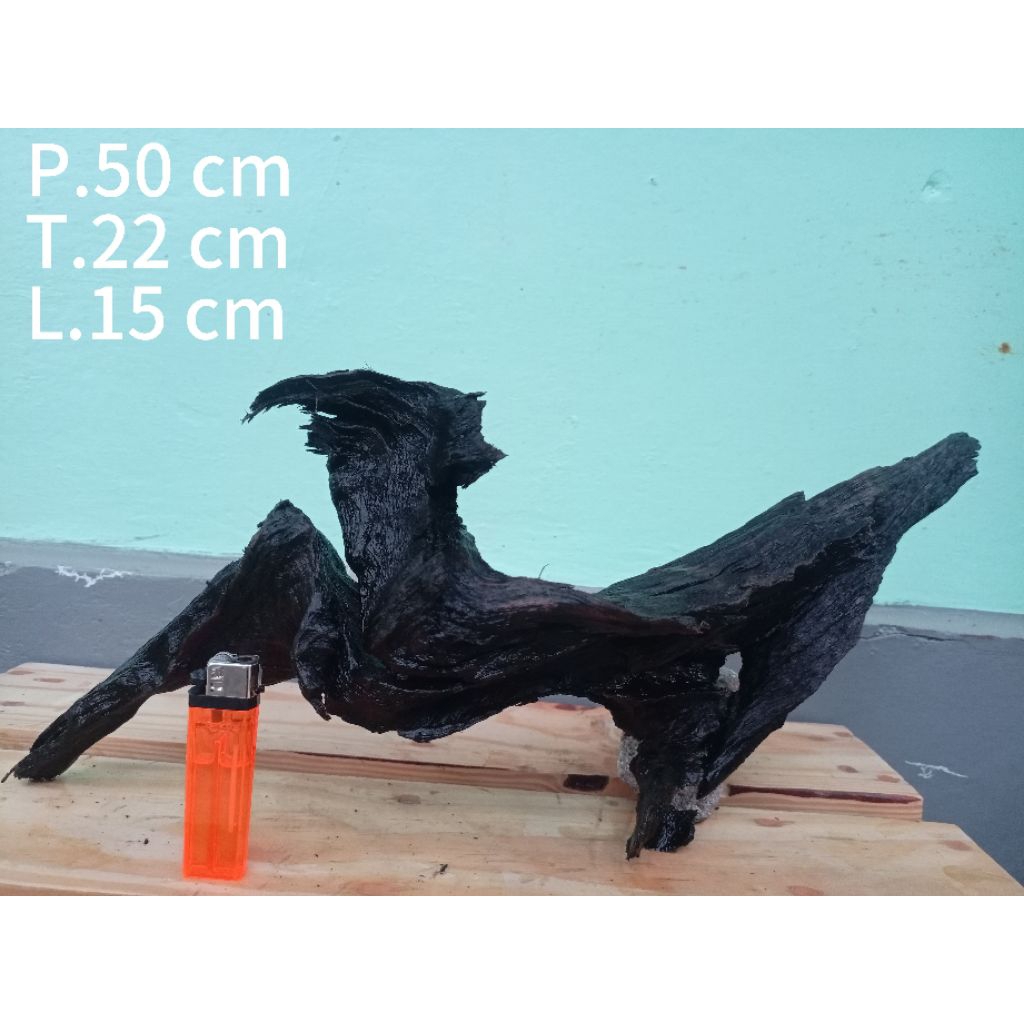 KAYU RENTEK FOSIL Asli temuan sungai Untuk hiasan Aquascape,Aquarium,reptil
