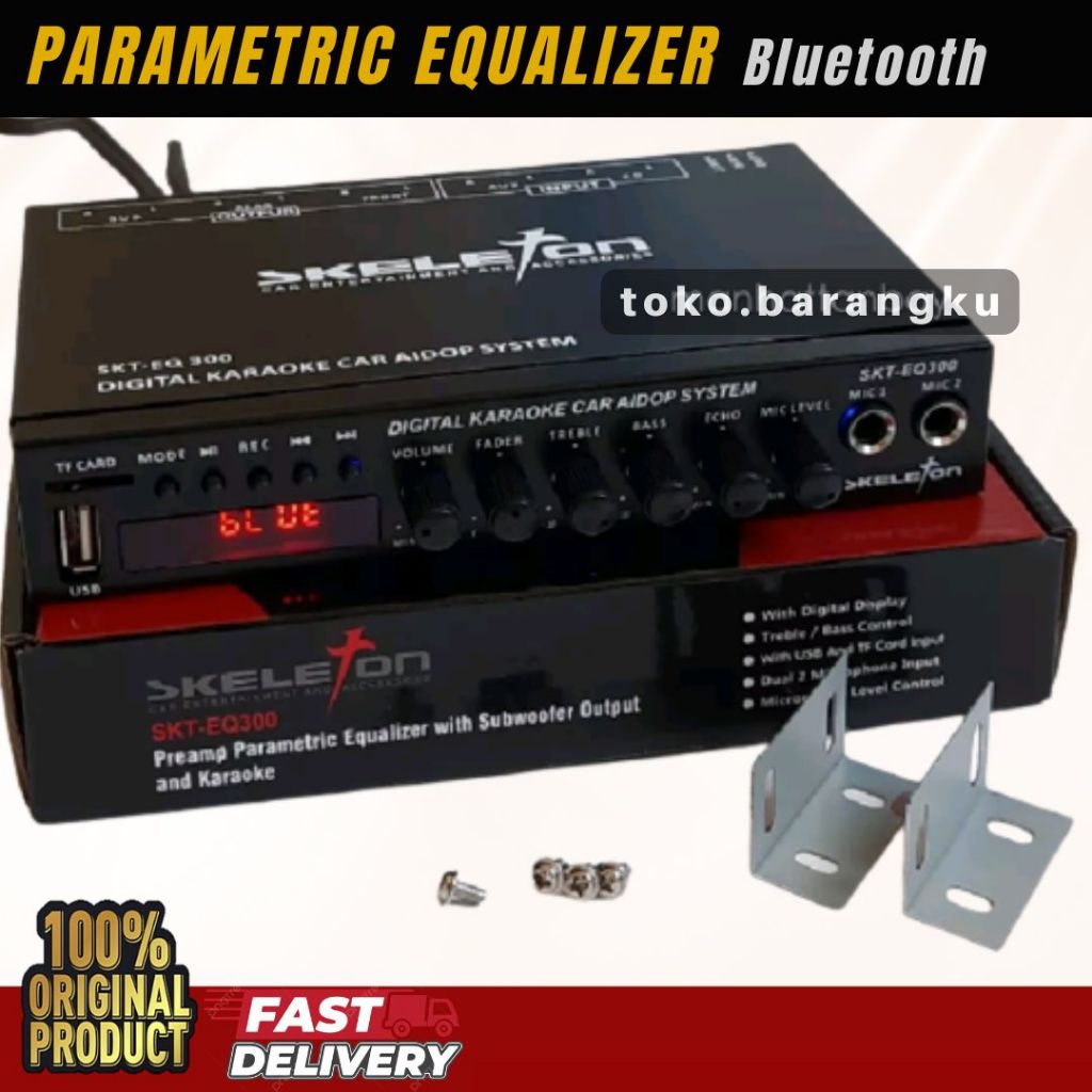 Parametrik equalizer SKELETON SKT EQ-300 digital karaoke