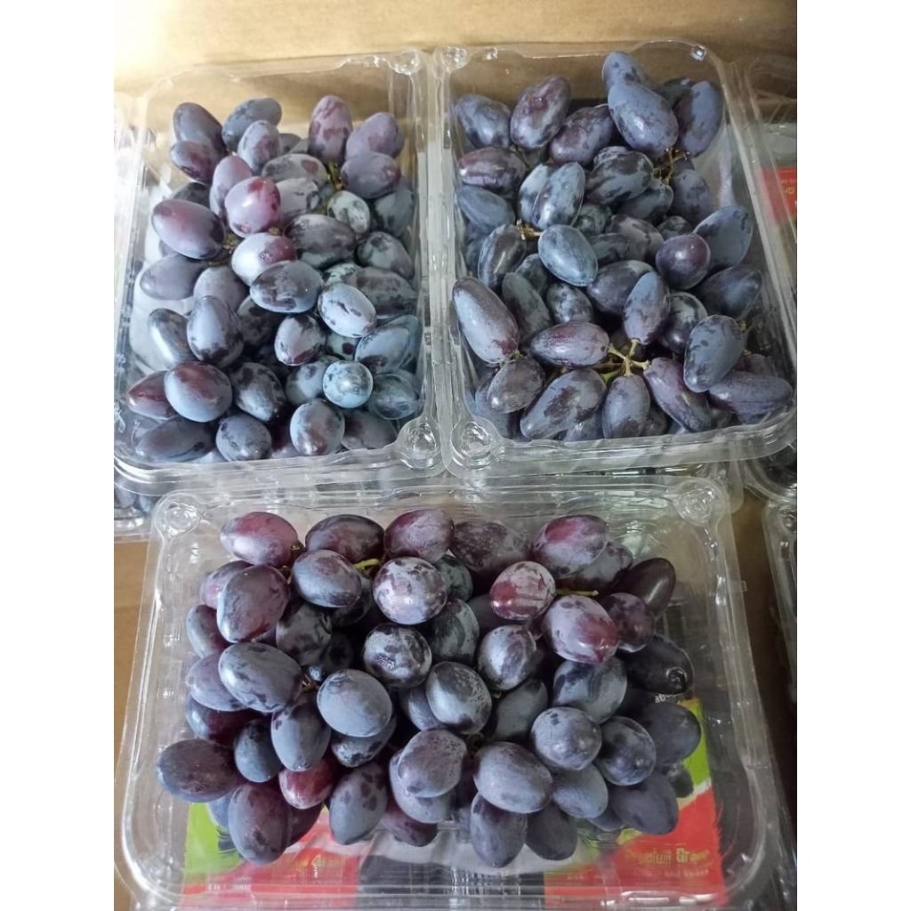 Anggur 500gr grand Cikarang village Cikarang selatan