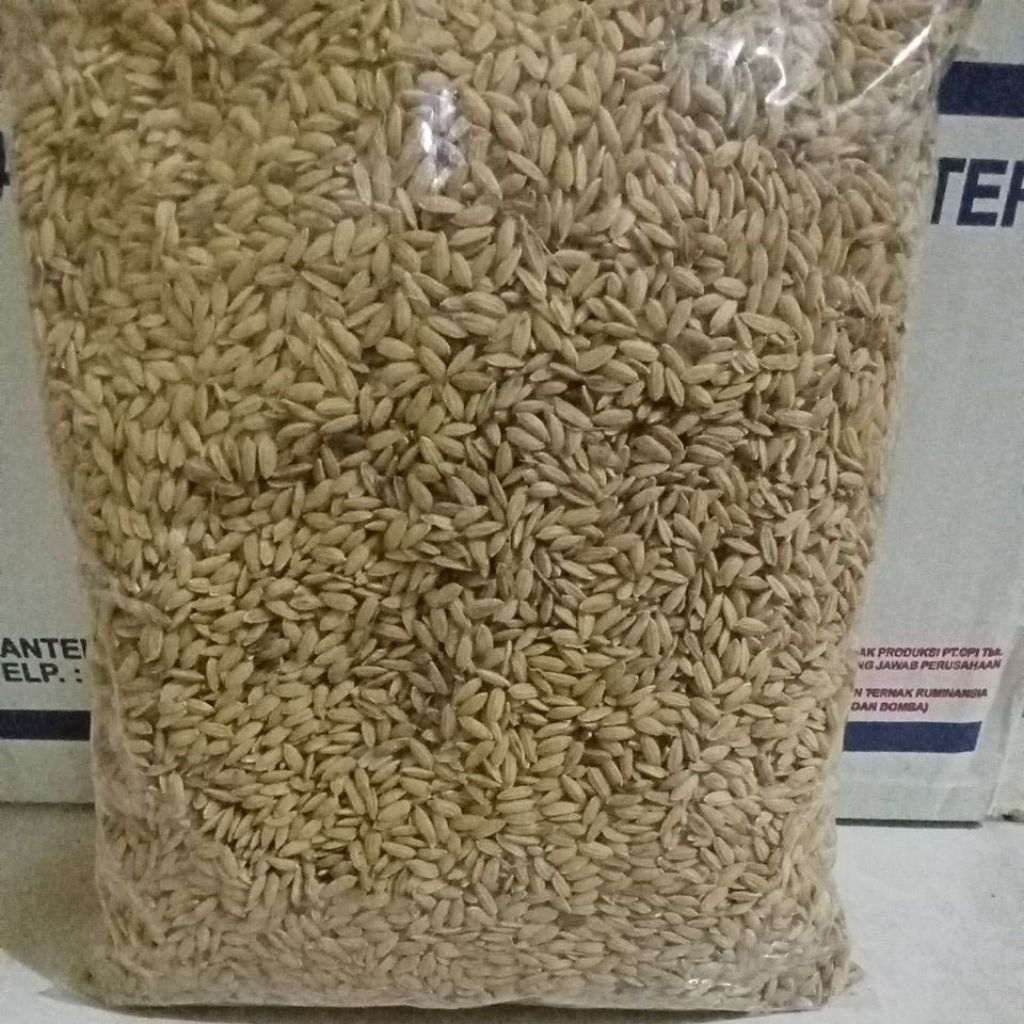gabah muncul berkualitas super 1 kg