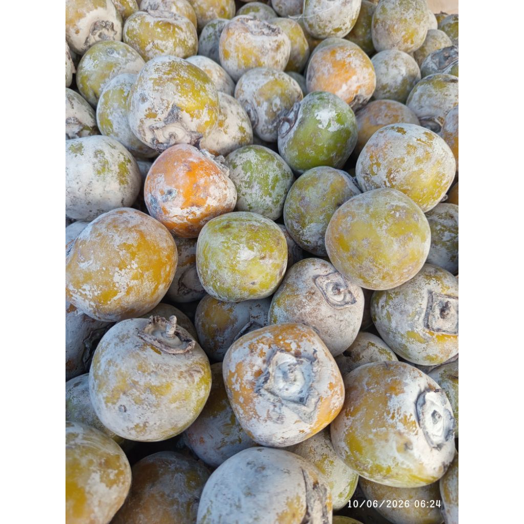 Buah Kesemek 1kg