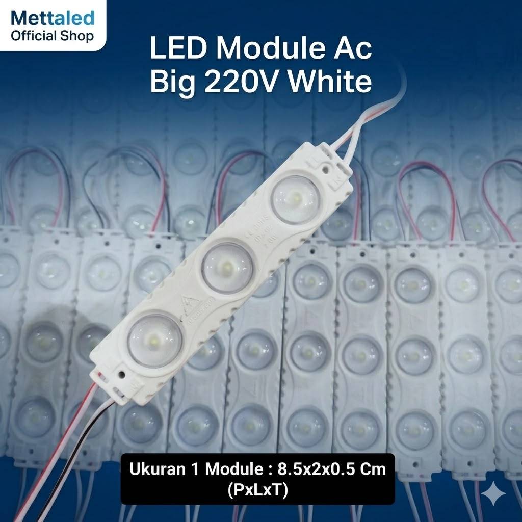 Led Module AC BIG 220V White