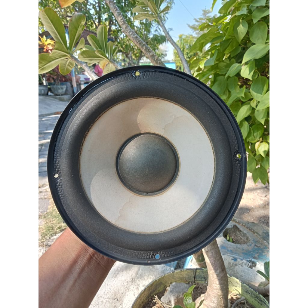 Speaker Polytron 6  inch/Speaker Woofer Polytron/Harga Satuan
