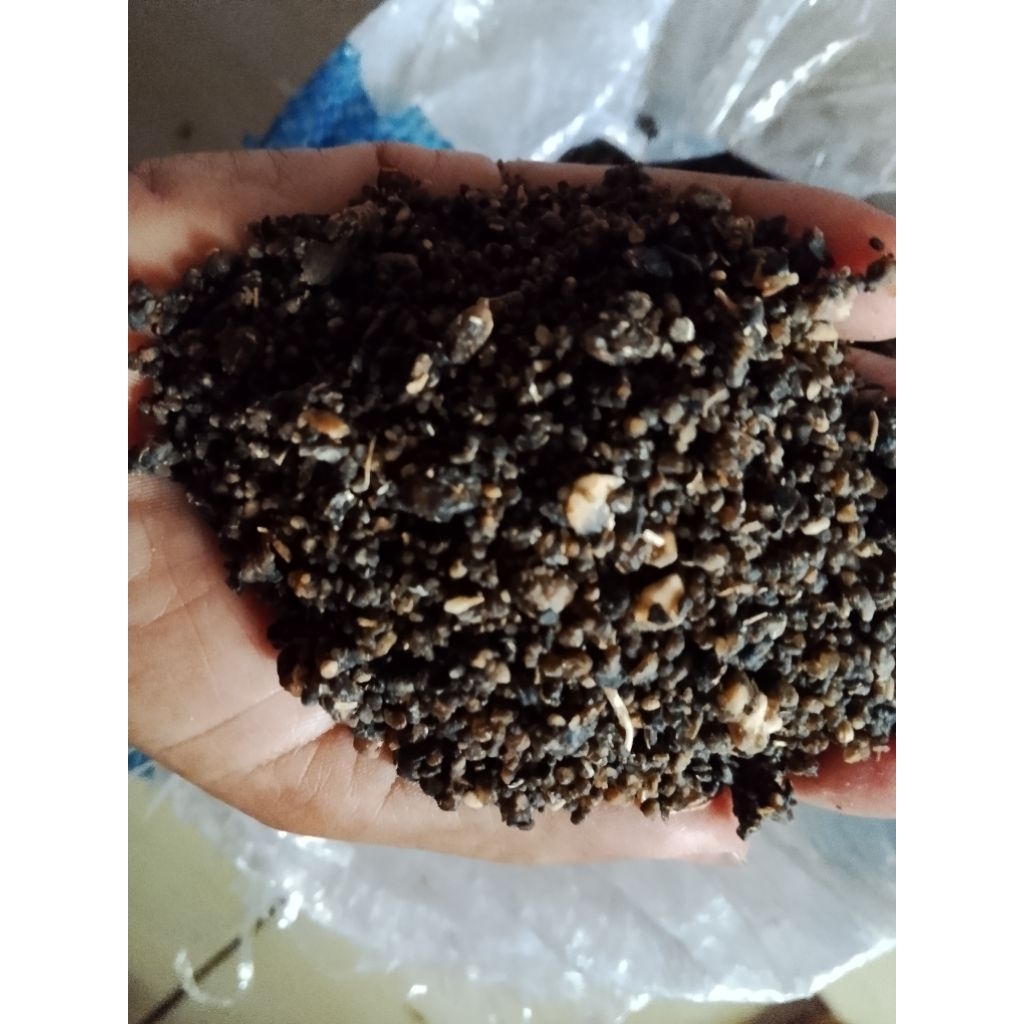oyek/tiwul mentah