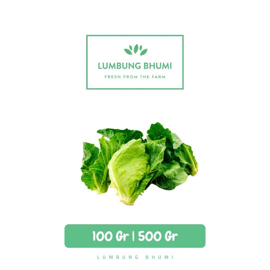 Cuciwis Sayur - Lumbung Bhumi