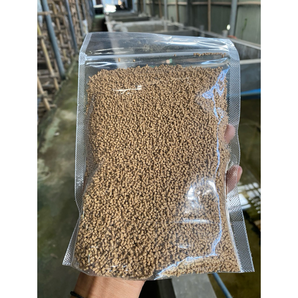 Pelet udang/ Pelet tenggelam tinggi protein