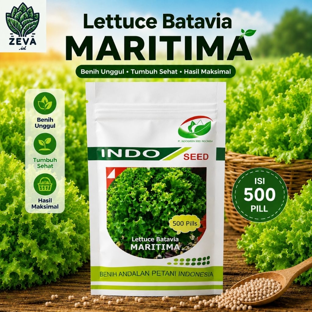 Benih Selada Batavia Maritima 500 Biji Sayuran Daun