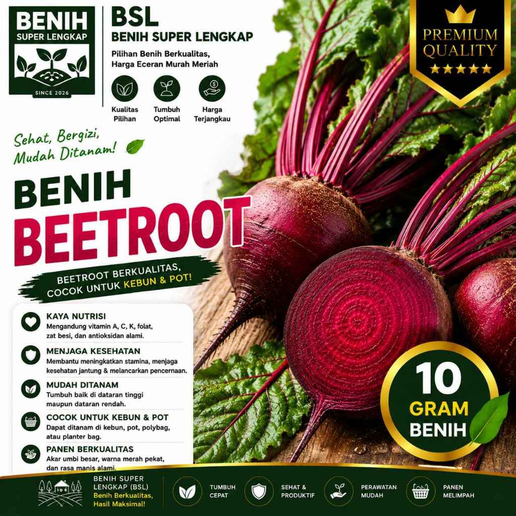 ( 10 Gram ) Benih Biji Buah Bit | Beetroot | Buah Beet | Ubi Bit | UKI BIBIT