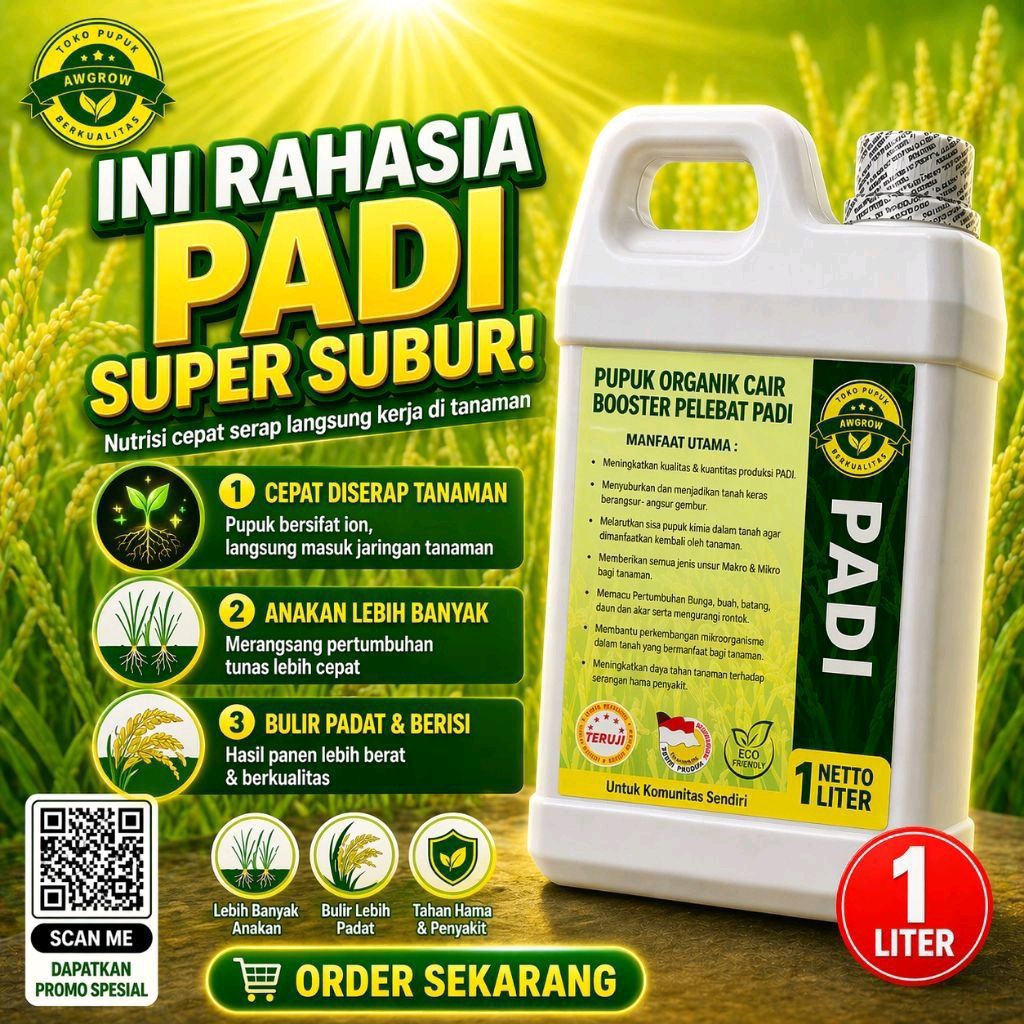 PUPUK CAIR PELEBAT BUAH PADI, PUPUK ORGANIK PADI UNTUK MEMPERBANYAK ANAKAN PADI DAN PELEBAT BUAHNYA
